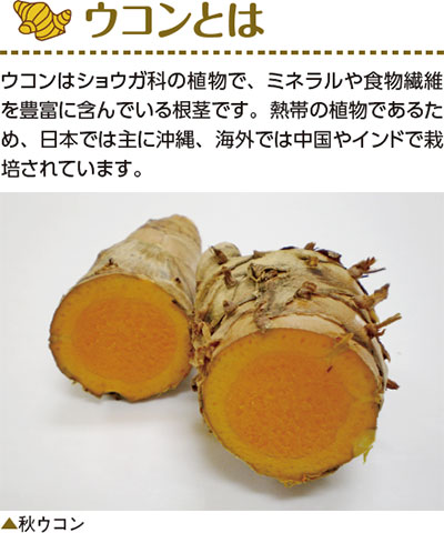 ウコンとは　ウコンはショウガ科の植物で、ミネラルや食物繊維を豊富に含んでいる根茎です。熱帯の植物であるため、日本では主に沖縄、海外では中国やインドで栽培されています。