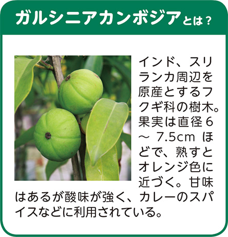 �K���V�j�A�J���{�W�A�Ƃ́H�C���h�A�X�������J���ӂ����Y�Ƃ���t�N�M�Ȃ̎��؁B�ʎ��͒��a6�`7.5cm�قǂŁA�n���ƃI�����W�F�ɋ߂Â��B�Ö��͂��邪�_���������A�J���[�̃X�p�C�X�Ȃǂɗ��p����Ă���B