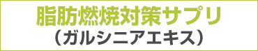 脂肪燃焼対策サプリ　ガルシニアエキス
